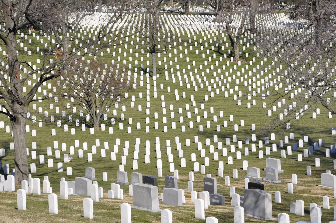 Our Veterans
